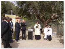 manifestazione (5)