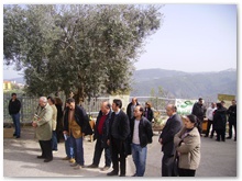 manifestazione (6)