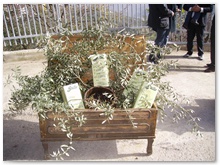 manifestazione (7)